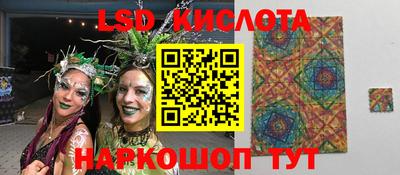 spice Свободный