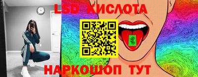 хмурый Сланцы