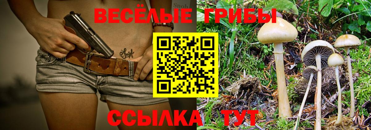 Похвистнево  Галлюциногенные грибы MAGIC MUSHROOMS  Вход с VPN  Галлюциногенные грибы прущие грибы 
